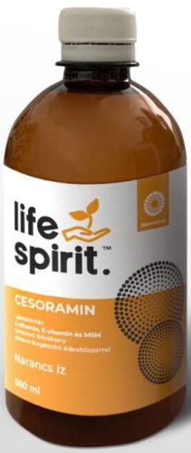 Life Spirit Cesoramin folyékony liposzómás C-vitamin 250 ml
