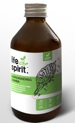 Life Spirit Hamvaskéreg gomba (Chaga) teljes spektrumát tartalmazó folyékony kivonat 250 ml