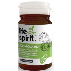   Life Spirit VasculaGuard teljes spektrumú gombakivonatot tartalmazó étrend-kiegészítő kapszula, allicinnel, Q10 koenzimmel és rezveratrollal 60 db